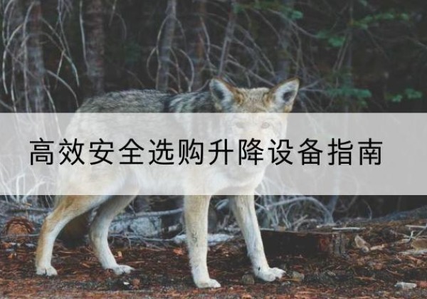 新罗升降货梯厂家推荐-*安全选购升降设备指南