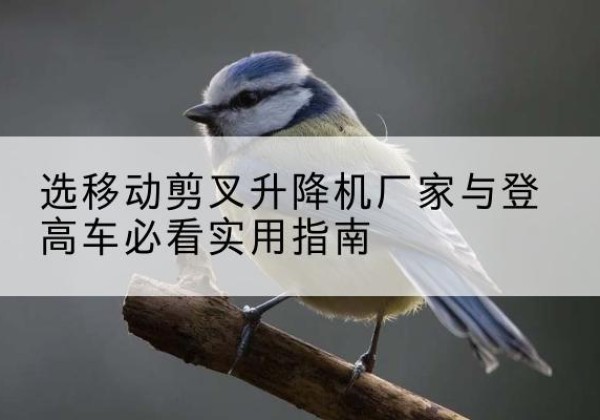 新罗电动升降机厂家-选移动剪叉升降机厂家与登高车必看实用指南