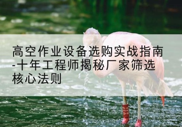 新罗剪叉式升降机厂家-高空作业设备选购实战指南-十年工程师揭秘厂家筛选核心法则
